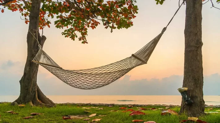 Hamak Satışı,Hamak imalatı,Salıncak hamak ahşap gondol hamak,Pamuk ip örgülü hamak,modern ahşap,hamak,hamak salıncak,Rejenere iplik satışı,open end iplik satışı,iplik tedariği